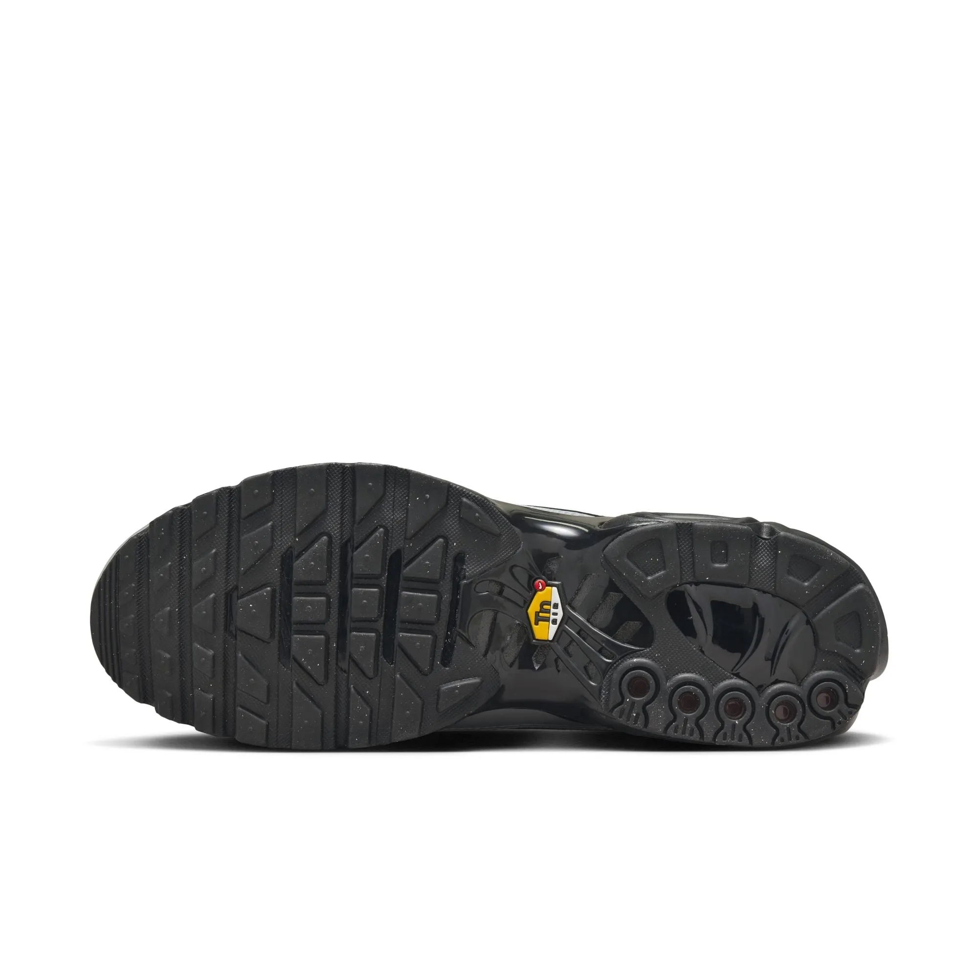 Nike Air Max Plus (Wolf Grey/Black)