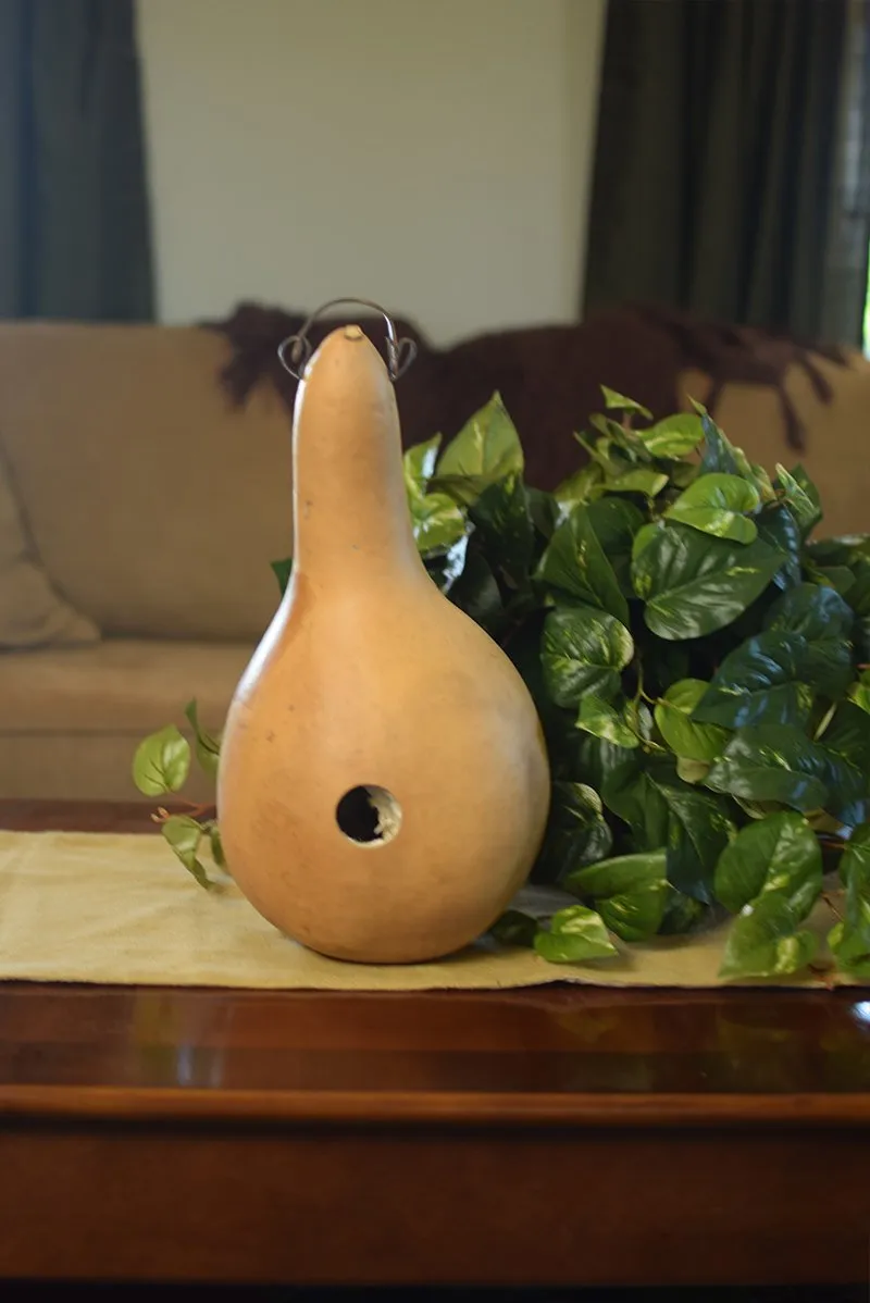 Raw Birdhouse Bungalo