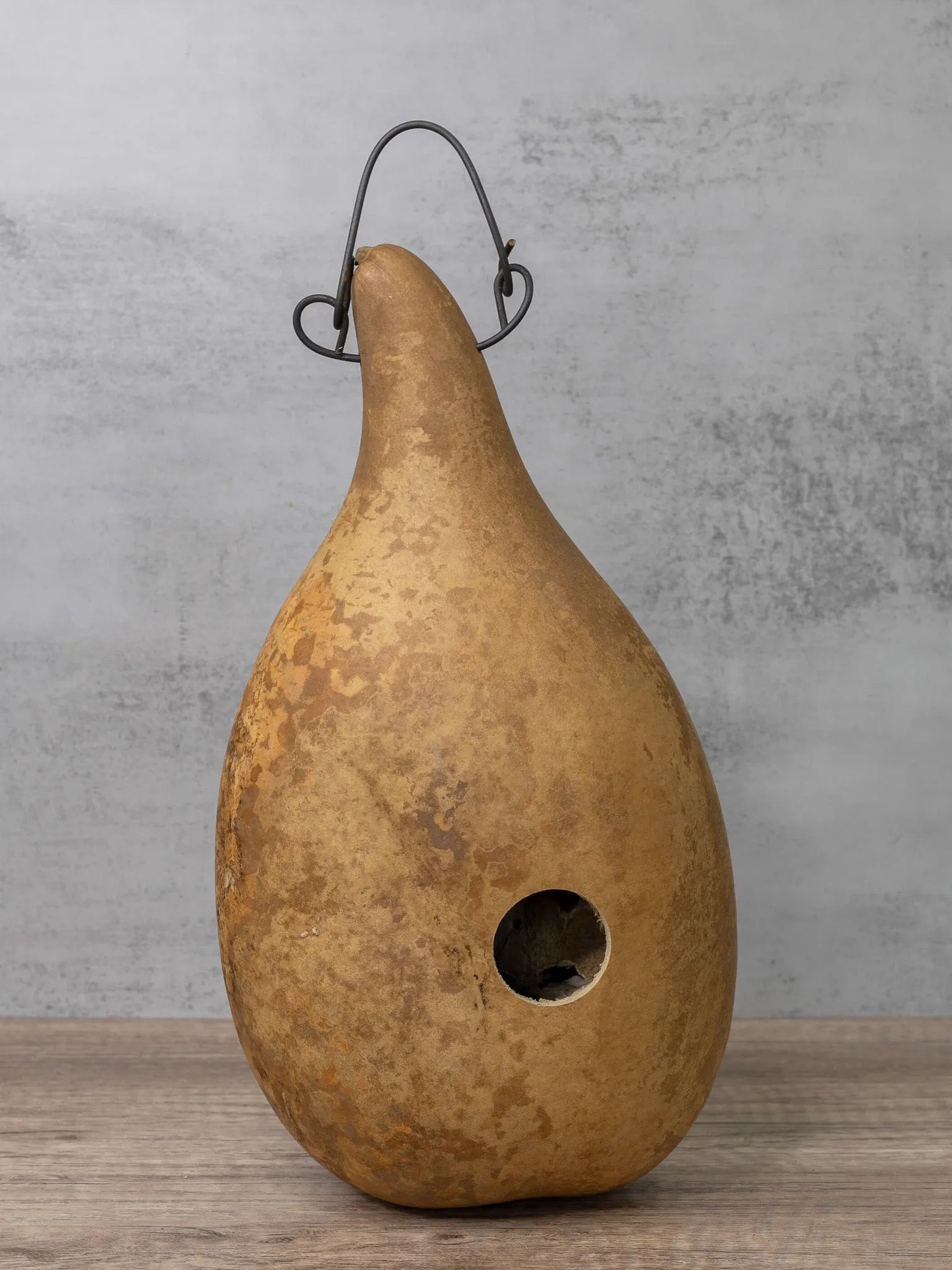 Raw Birdhouse Bungalo